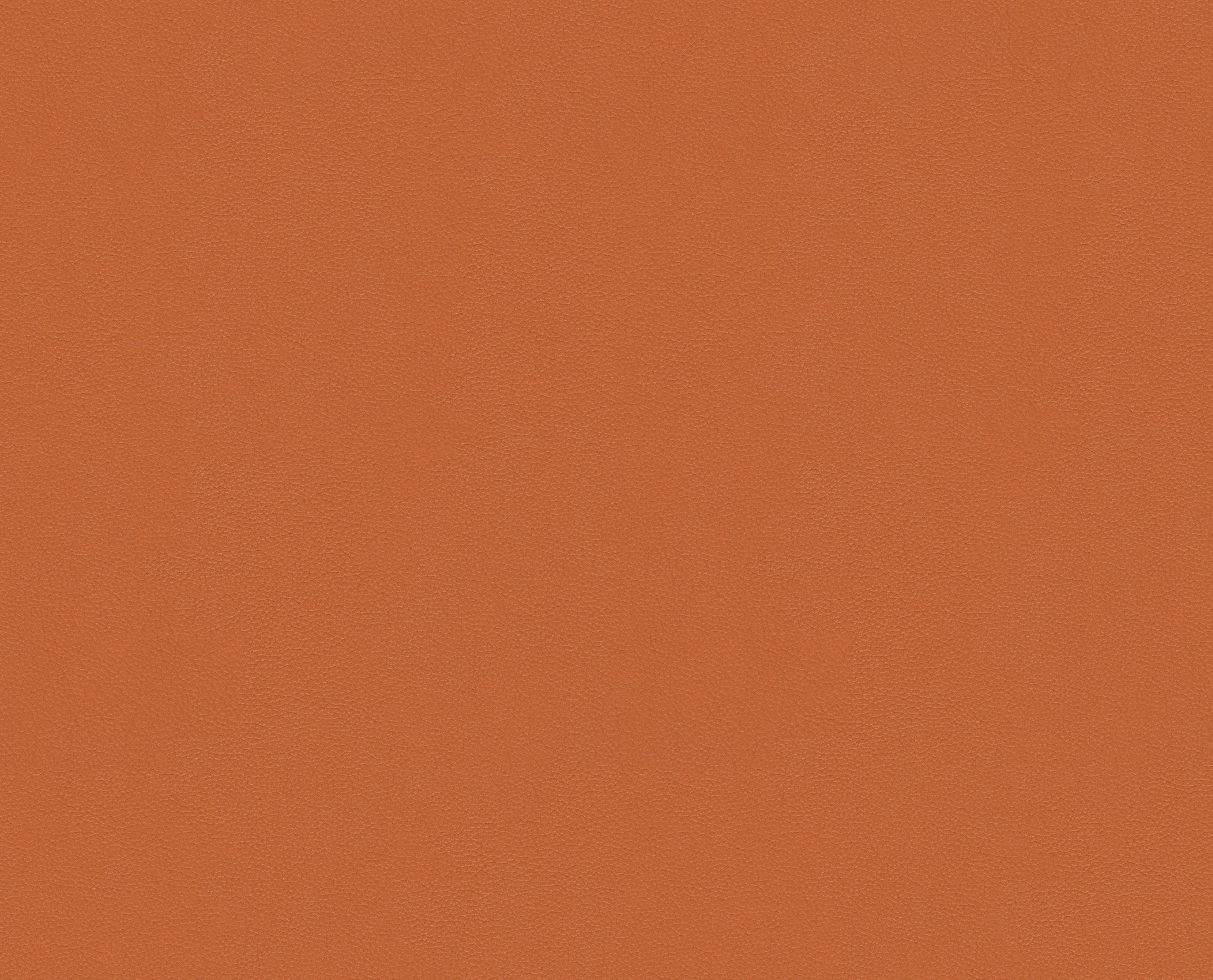 Illustration 6 du produit Fauteuil Capitol Complex Noir Cuir Camel