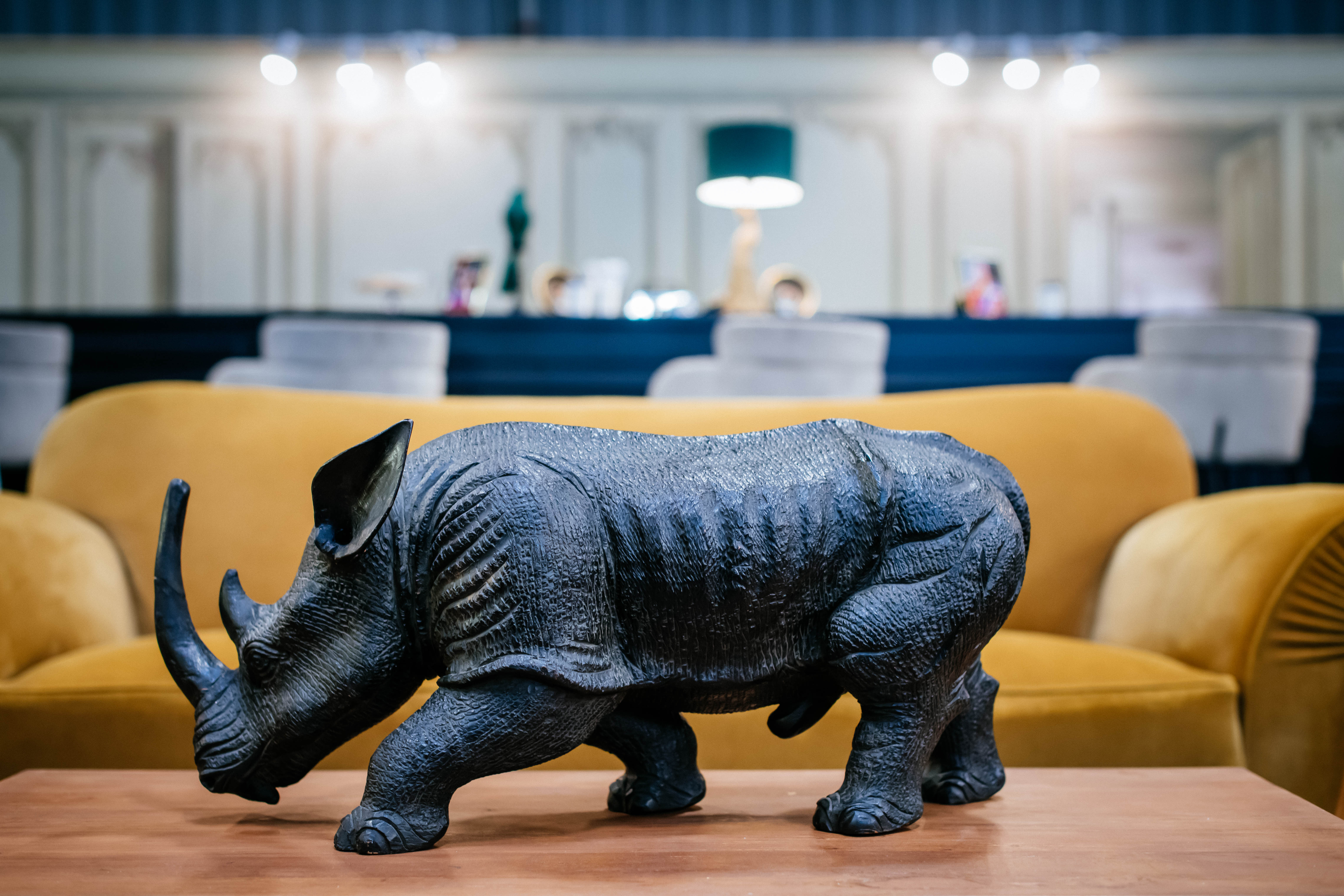 Illustration 4 du produit Rhino de Collection
