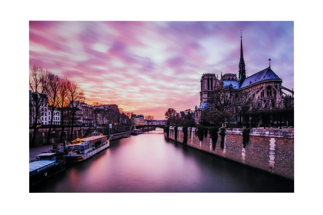 Illustration 1 du produit Photographie Notre Dame Rose