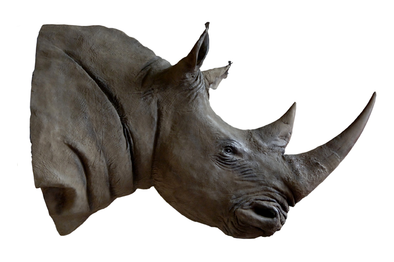 Illustration 1 du produit Tête de Rhinocéros