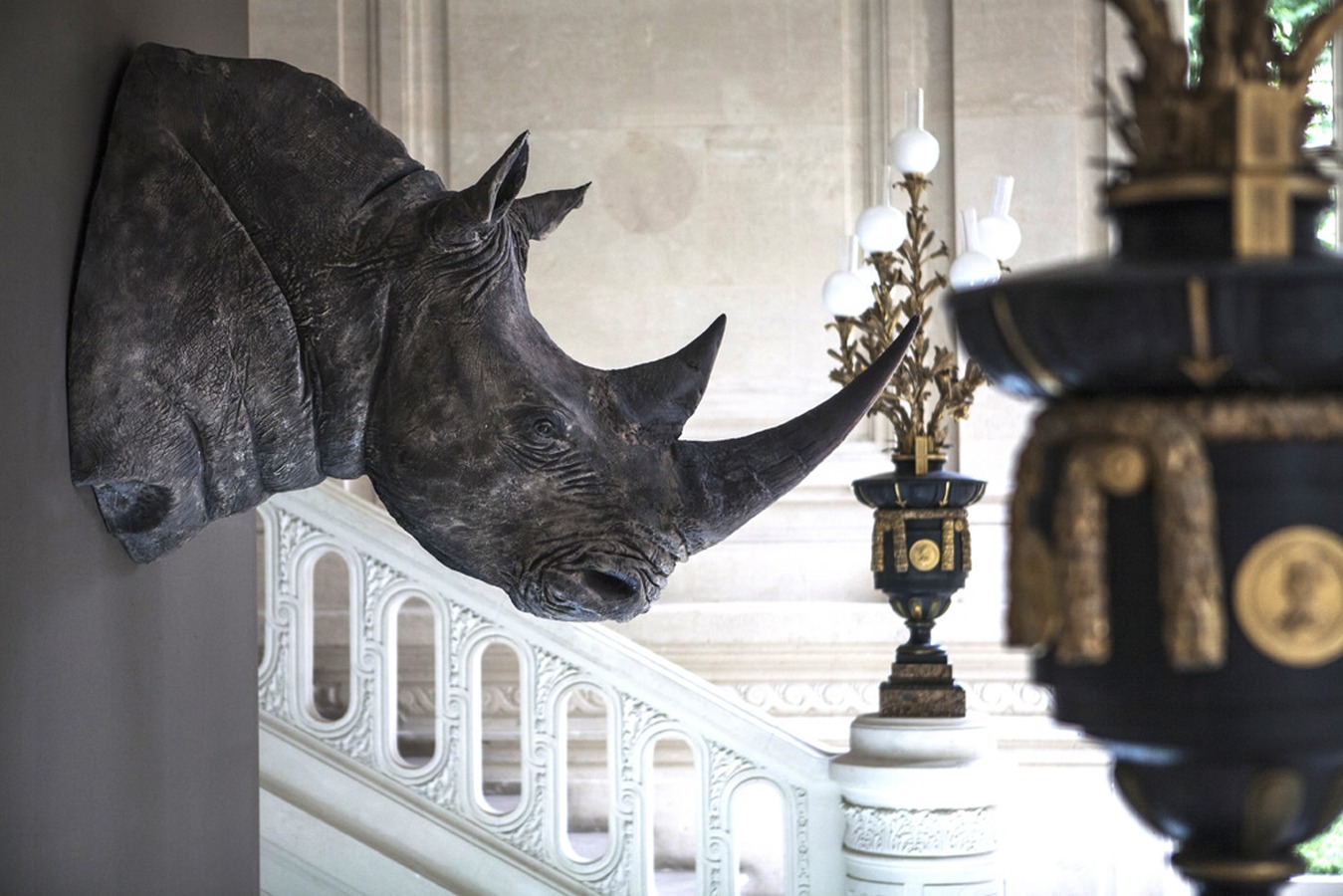 Illustration 3 du produit Tête de Rhinocéros