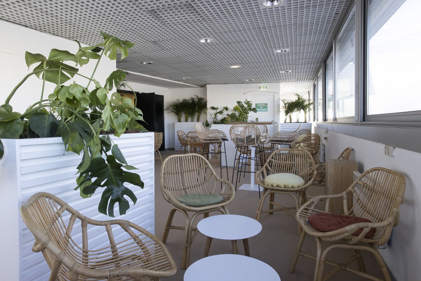Illustration 5 du produit Tara Rattan Armchair