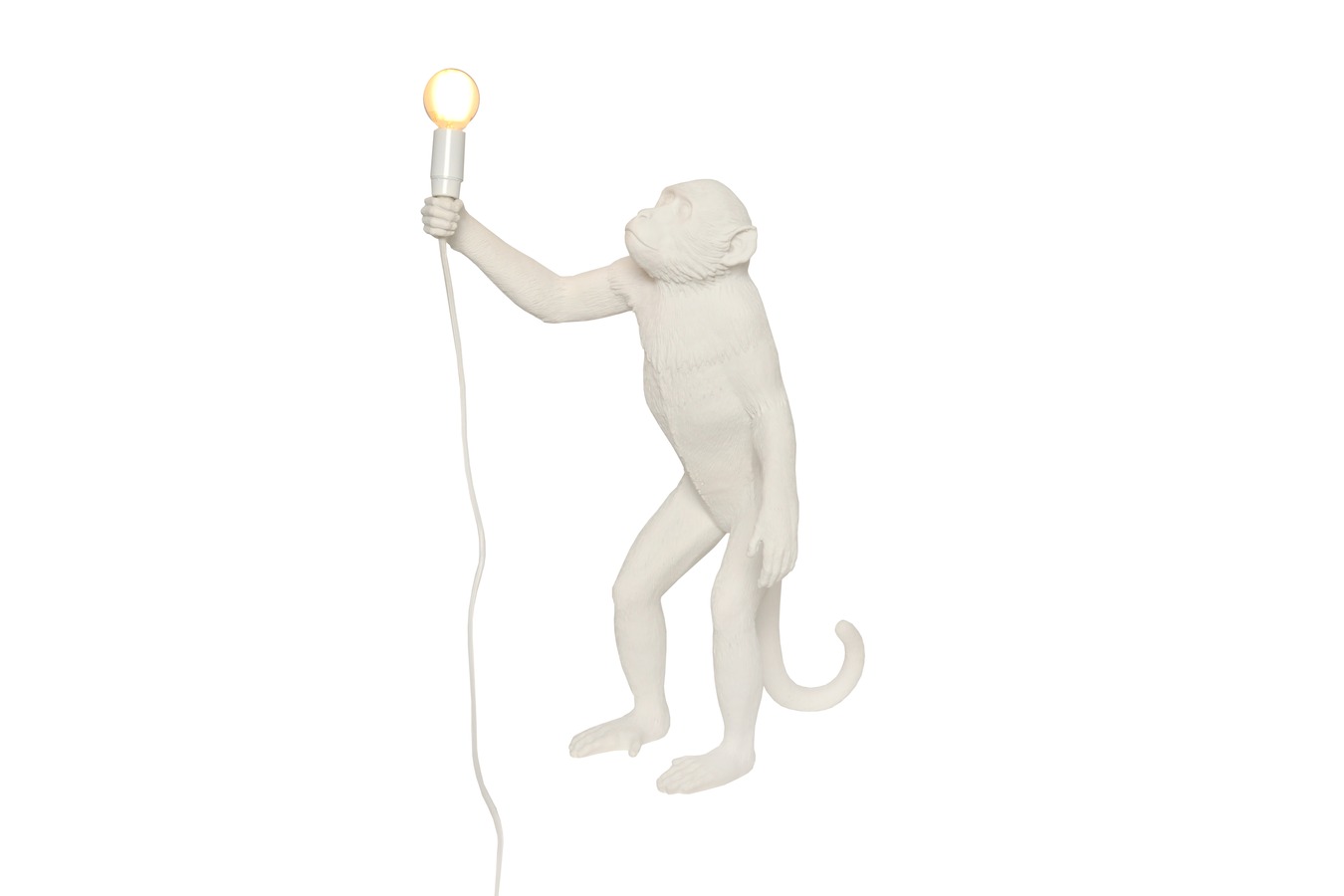 Illustration 1 du produit Lampe Singe Debout