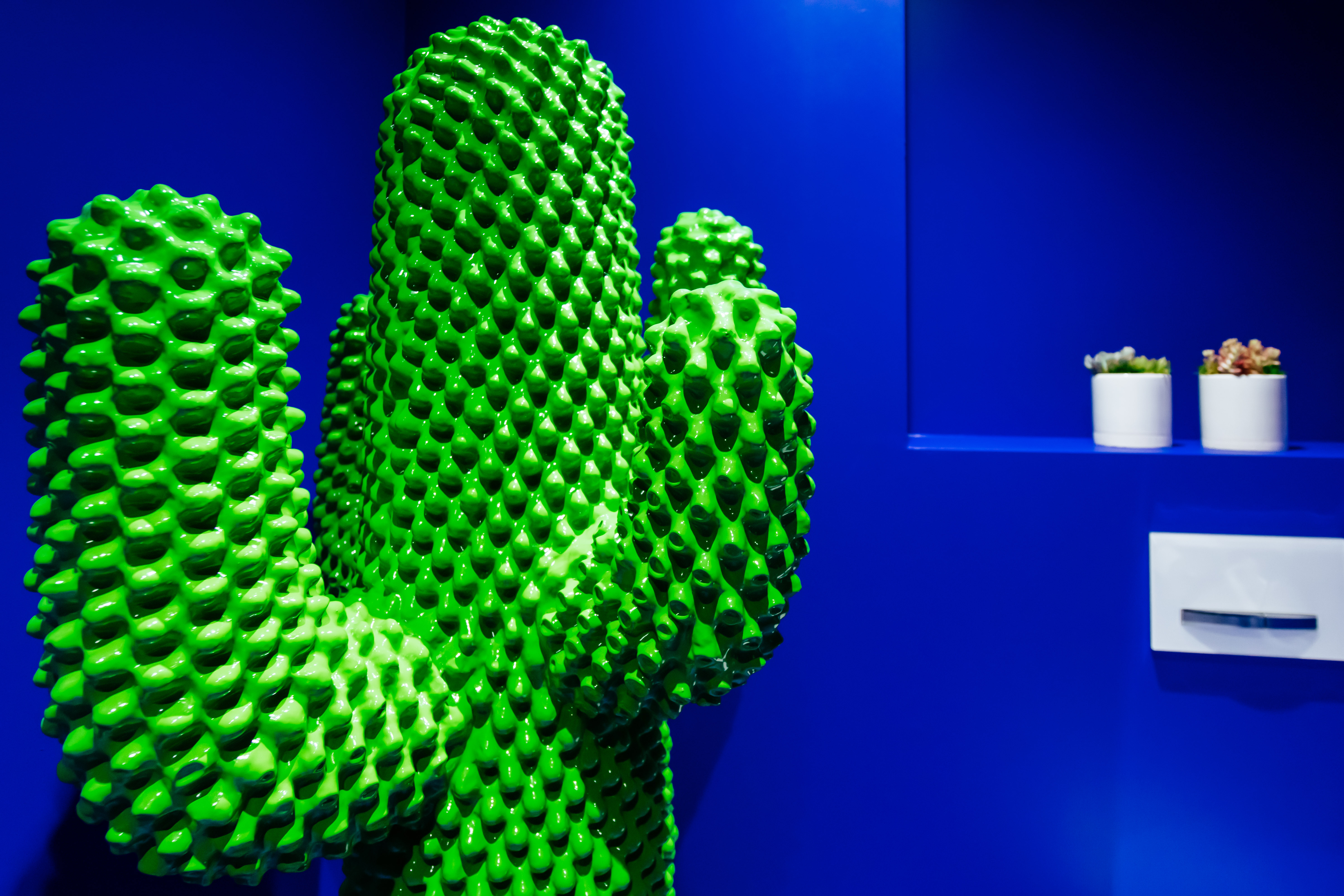 Product illustration Another Cactus Green 7