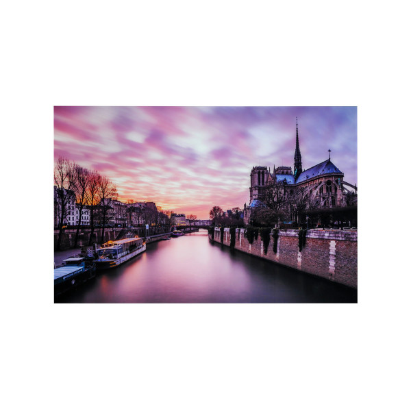 Illustration du produit Photographie Notre Dame Rose