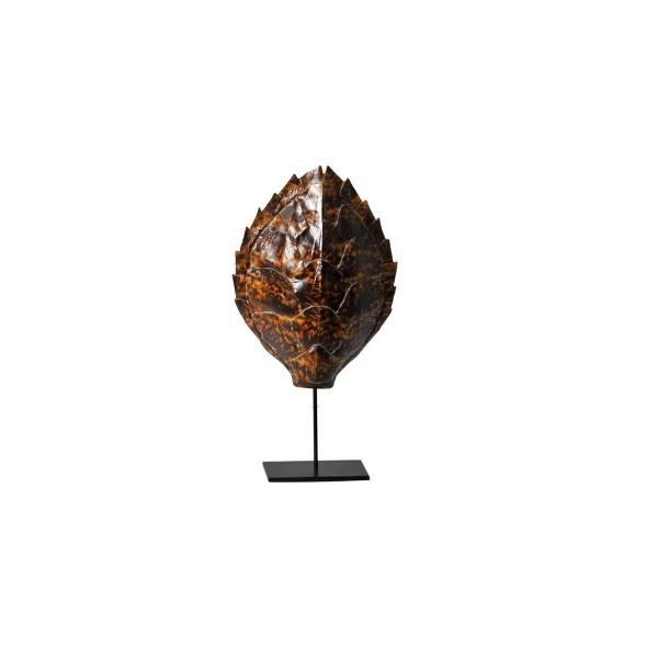 Product illustration Tortoise Shell