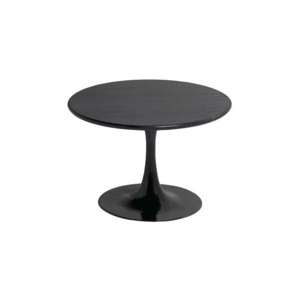 Illustration du produit Table basse Tulipe