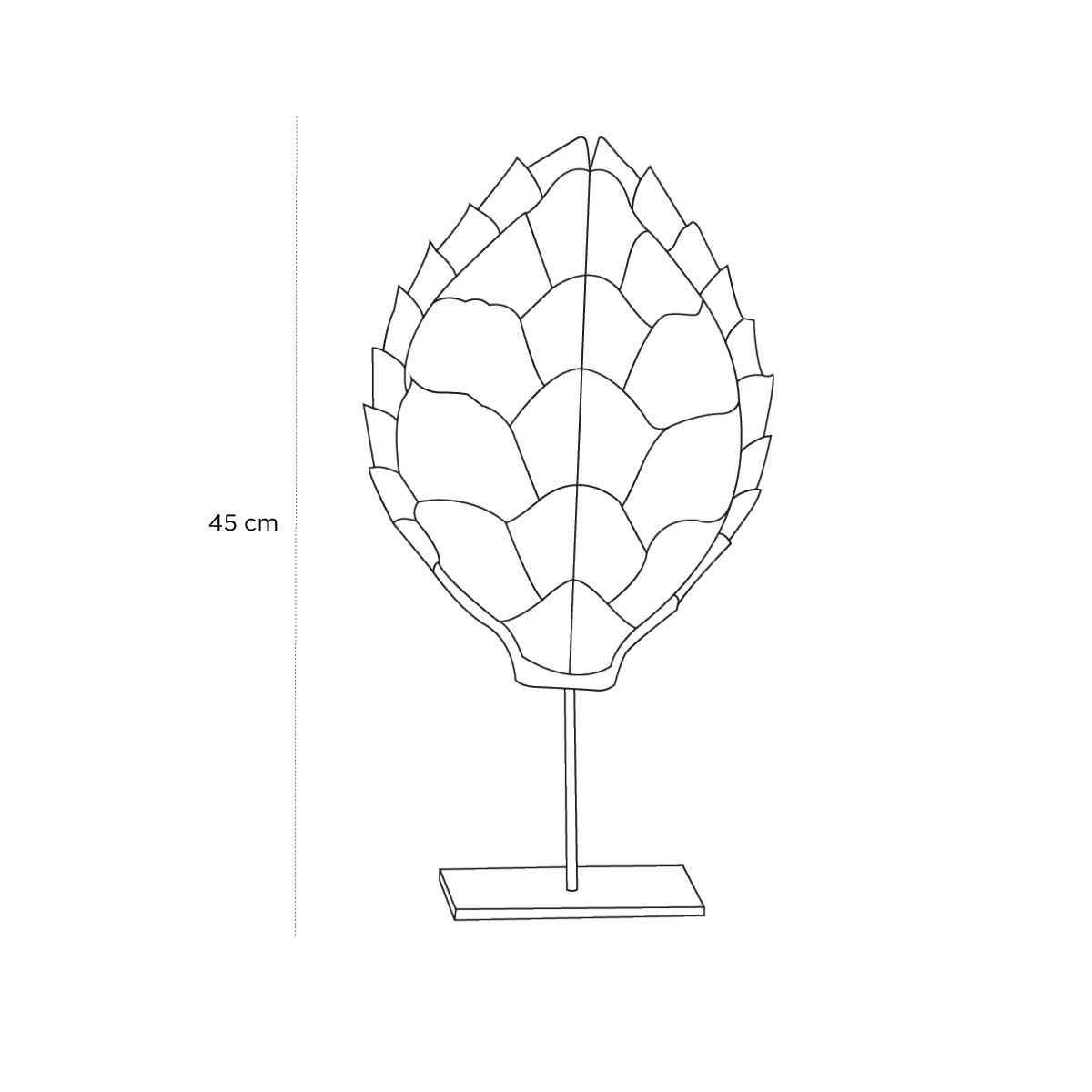 Product schematic Carapace Tortue